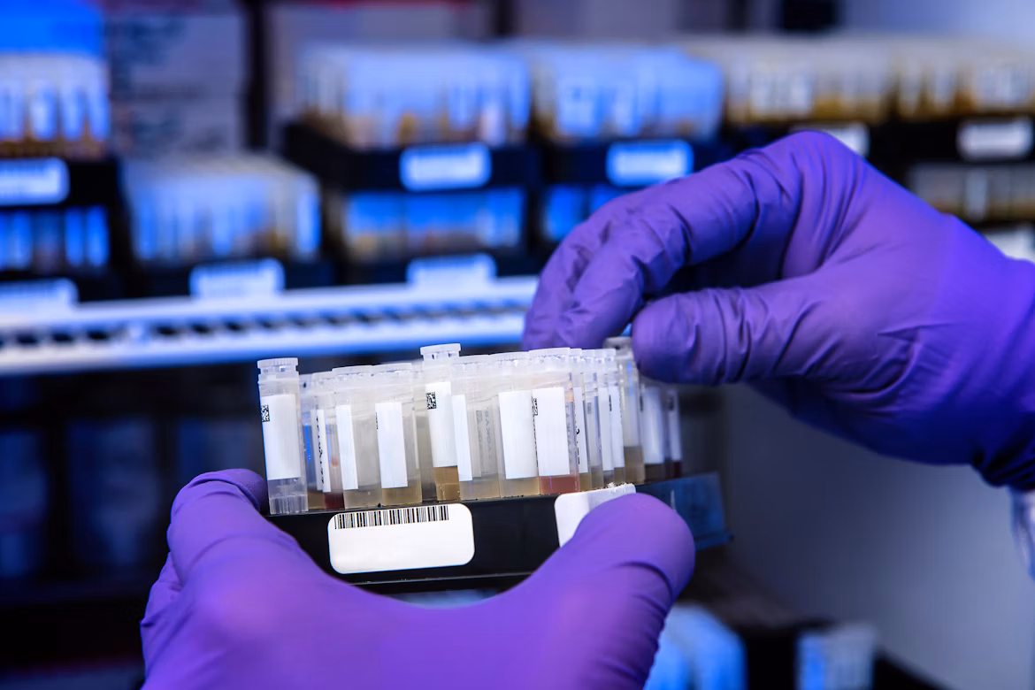 Lab Information Management System